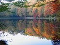 Etang de la Herse06